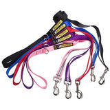 Alpine Outfitters 5' Walking Leash w/Traffic Handle, Reflective Band & Accessory Ring