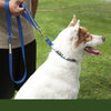 Alpine Outfitters 5' Walking Leash w/Traffic Handle, Reflective Band & Accessory Ring