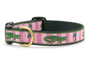 Up Country Alligator Dog Collars & Leads
