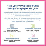 UCARI Intolerance Testing Kit for Pets (food, environmental, product chemicals)