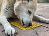 Soda Pup Enrichment Lick Mat - Yellow Honeycomb
