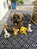 Lanco Set of 6 Squeaky Rubber Dog Toys