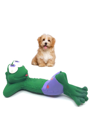 Lanco Beach Frog Squeaky Dog Toy