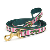 Alligator Dog Collars and Leashes