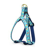 Up Country Beach Balls Dog Harness