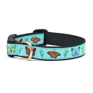 Up Country Butterfly Effect Dog  Collars & Leads