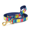 Up Country Colorful Stripes Dog Collars & Leads