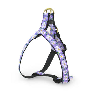 Up Country Daisy Dog Harness