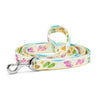Up Country Sport Flip Flops Printed Dog Collars & Leads