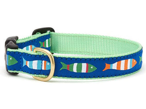 Up Country Funky Fish Dog Collars & Leads
