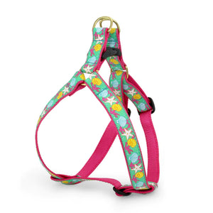 Up Country Tropical Reef Dog Harness