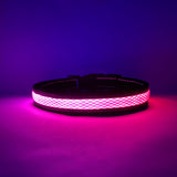 LED Dog Collar