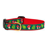 Up Country Mushrooms Dog Collars & Leads