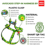 WAUDOG Nylon Avocado Step-In Dog Harness with QR Tag