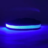 LED Dog Collar