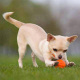 WAUDOG Liker Ball Toy