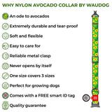 WAUDOG Nylon Avocado Collar with QR Tag