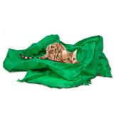 Dezi & Roo Magic Carpet Cat Toy