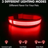 LED Dog Collar