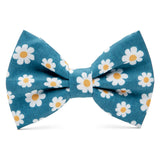 Southern Dog Proper Bow Tie