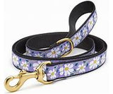 Up Country Daisy Flower Dog Collars & Leads