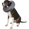 Zen Pet Zen Recovery Collar