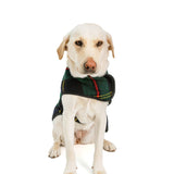 Chilly Dog LLC. Navy Tartan Blanket Dog Coat