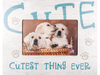 Picture Frame (Horizontal) - Cutest Thing Ever