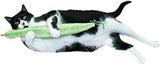 Imperial Cat Slither n' Snake Refillable Catnip Toy