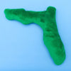 Mutts & Mittens Florida Dog Toy
