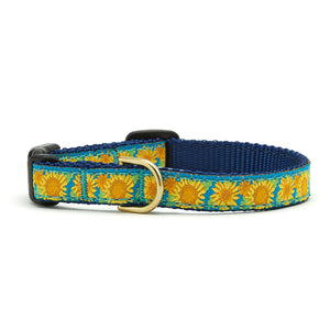 Up Country Bright Sunflower Cat Collars and Cat Harnesses