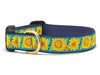 Up Country Bright Sunflower Dog Collars & Leads