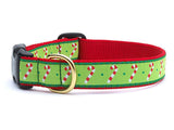 Up Country Holiday Christmas Candy Cane Dog Collars & Leads
