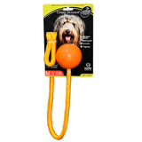 4BF Crazy Bounce Ball Rope Dog Toy