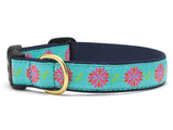UpCountry Dahlia Darling Dog Collars & Leashes