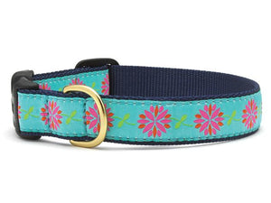 Up Country Dahlia Darling Dog Collars & Leads