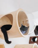 Wooden Wall Mounted Cat House