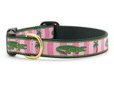 Alligator Dog Collars and Leashes