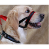 NewTrix Dog Training Halter