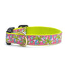 Up Country Pink Palms Dog Collars & Leads