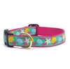 Tropical Reef Dog Collars & Leashes