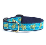 Up Country Sea Turtle Dog Collars & Leads