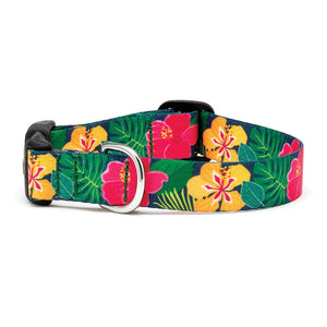 Up Country Sport Hibiscus Printed Dog Collars & Leads