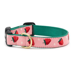 Up Country Strawberry Fields Dog Collars & Leads