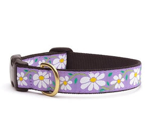 UpCountry Daisy Flower Dog Collars and Leashes