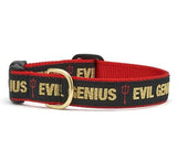 Up Country Evil Genius Dog Collars & Leads