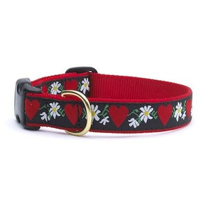 Up Country Hearts & Flowers Dog Collars & Leads