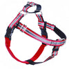 2 Hounds Euro Dog Leash for Freedom Reflective No-Pull Dog Harness