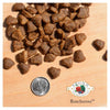 Fromm - Rancherosa Recipe Dog Food