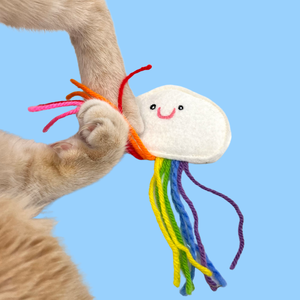The Punchy Cat Catnip Rainbow Cloud Cat Toy